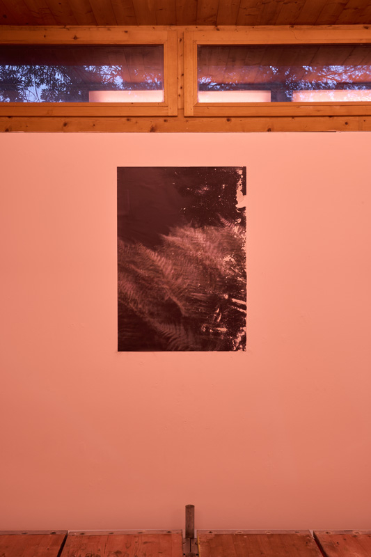 http://www.jennifergelardo.com/files/gimgs/th-42_Echo_Correspondence_112023_16_v3.jpg